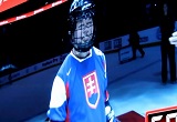 Invasion VII member on the ice